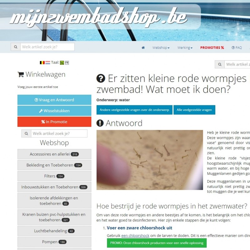 mijnzwembadshop1 - Make IT Work 